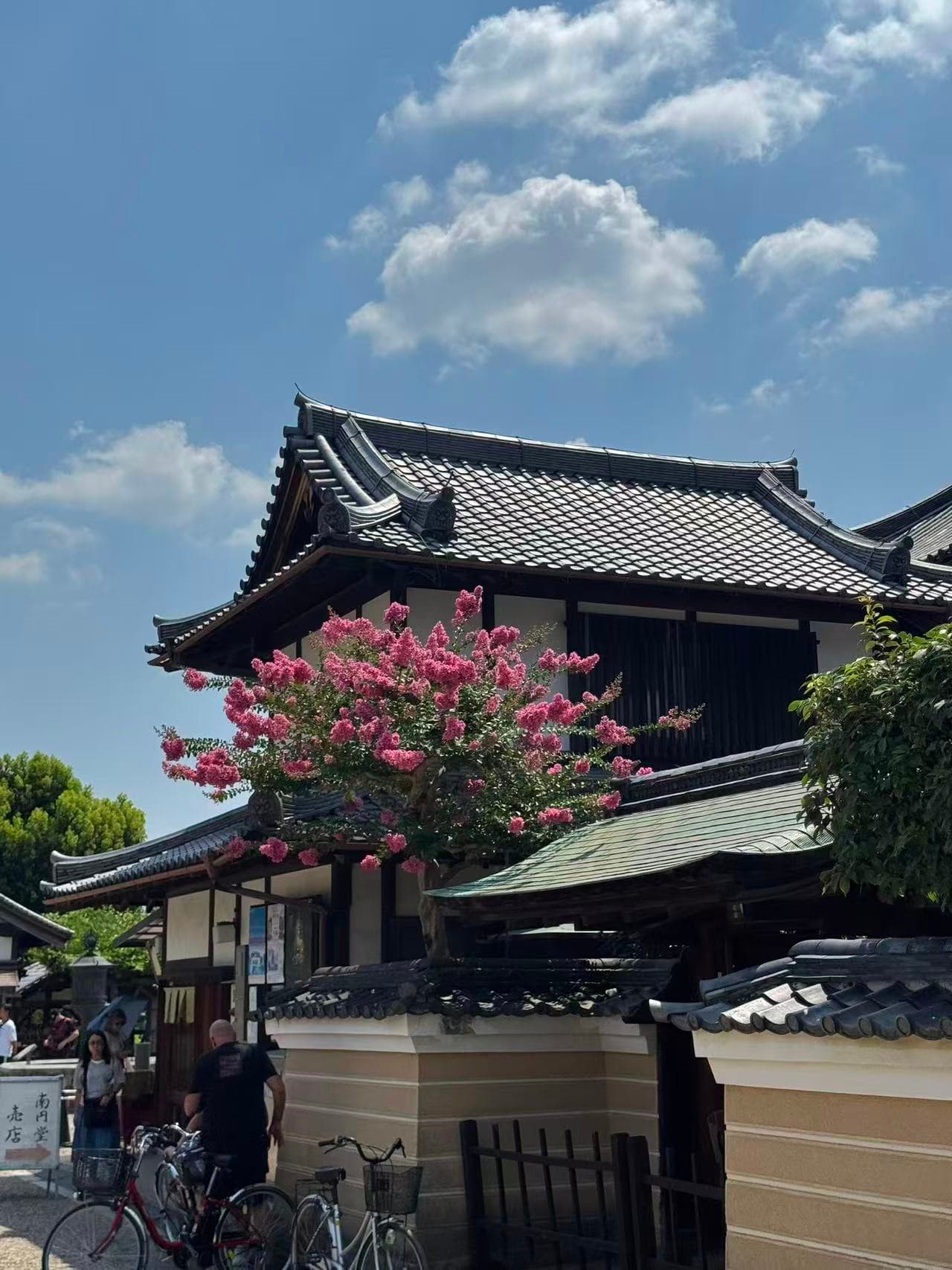 Japan — photo 4